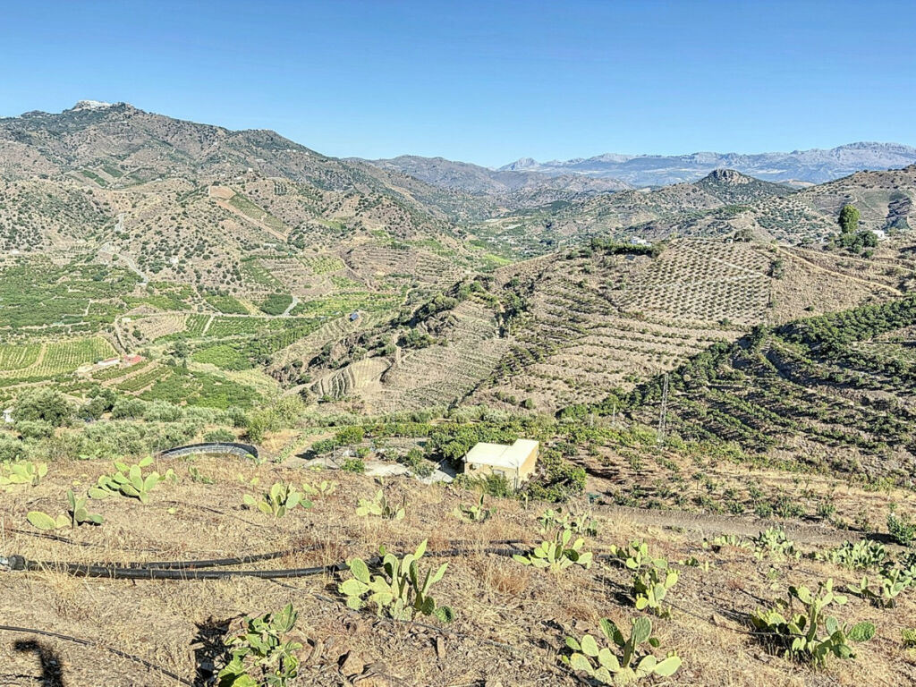 Finca - Cortijo Benamargosa Málaga - imagen 24