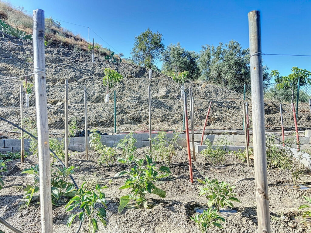 Finca - Cortijo Benamargosa Málaga - imagen 28