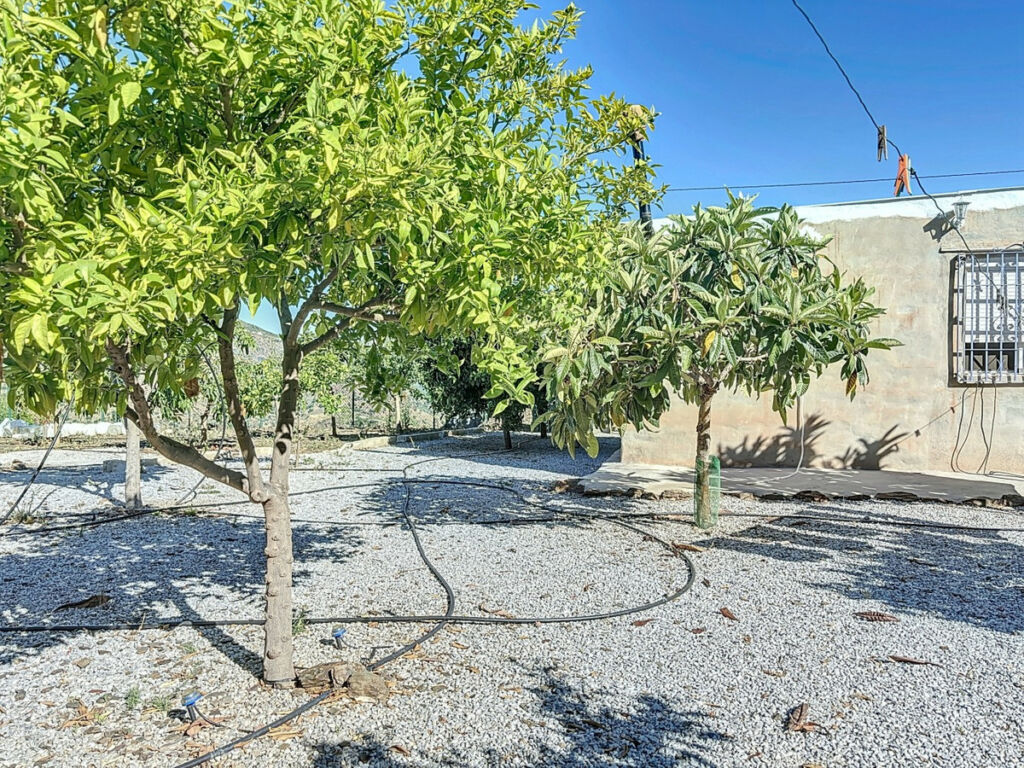 Finca - Cortijo Benamargosa Málaga - imagen 29