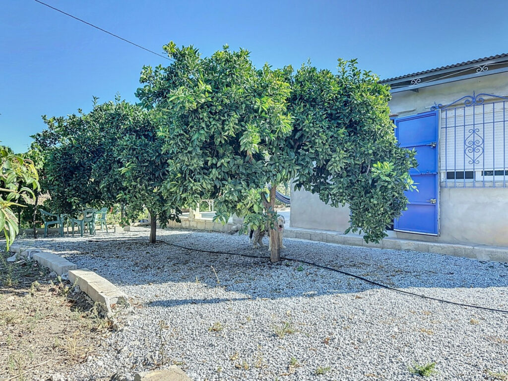 Finca - Cortijo Benamargosa Málaga - imagen 30