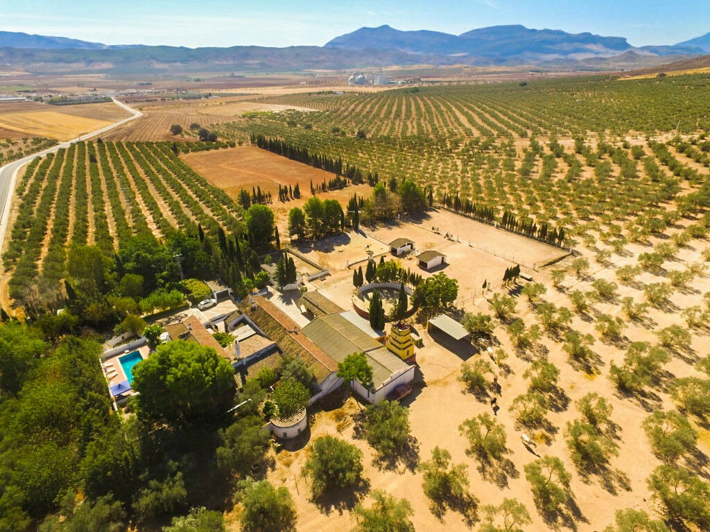 Finca - Cortijo Antequera Málaga - Bild 3