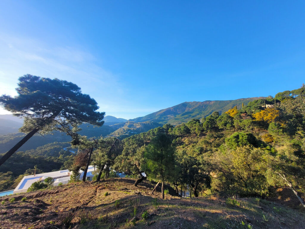 Land La Zagaleta Málaga - zdjęcie 5