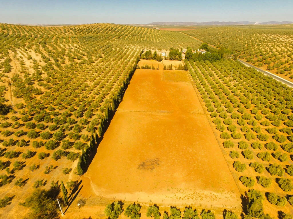 Finca - Cortijo Antequera Málaga - Bild 4