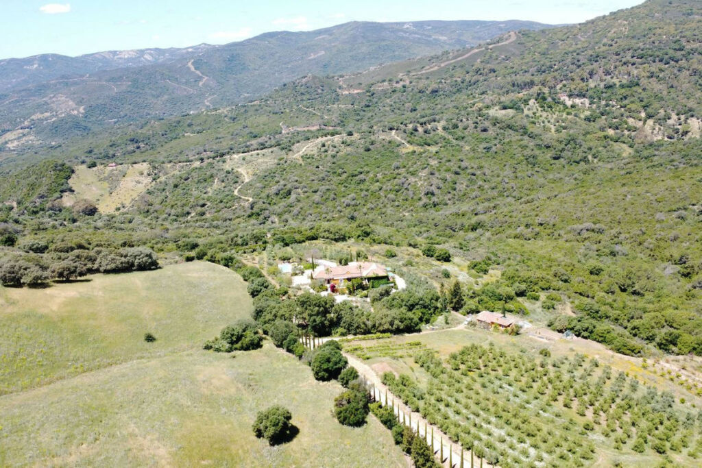 Finca - Cortijo Gaucín Málaga - Bild 42