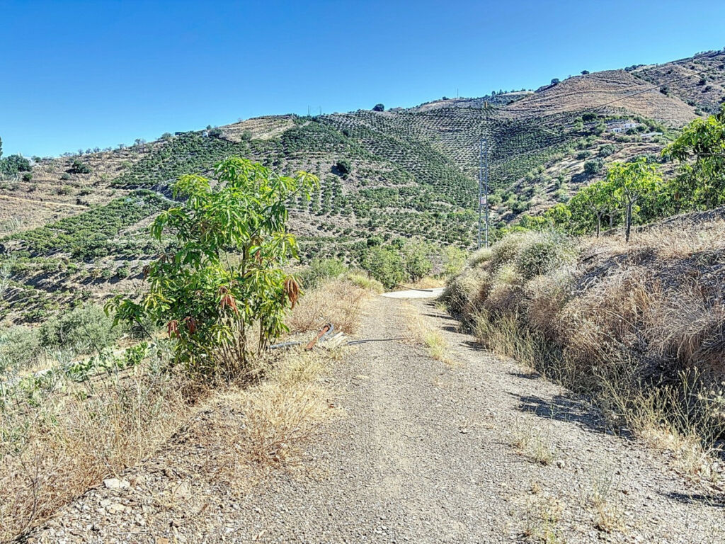 Finca - Cortijo Benamargosa Málaga - imagen 46
