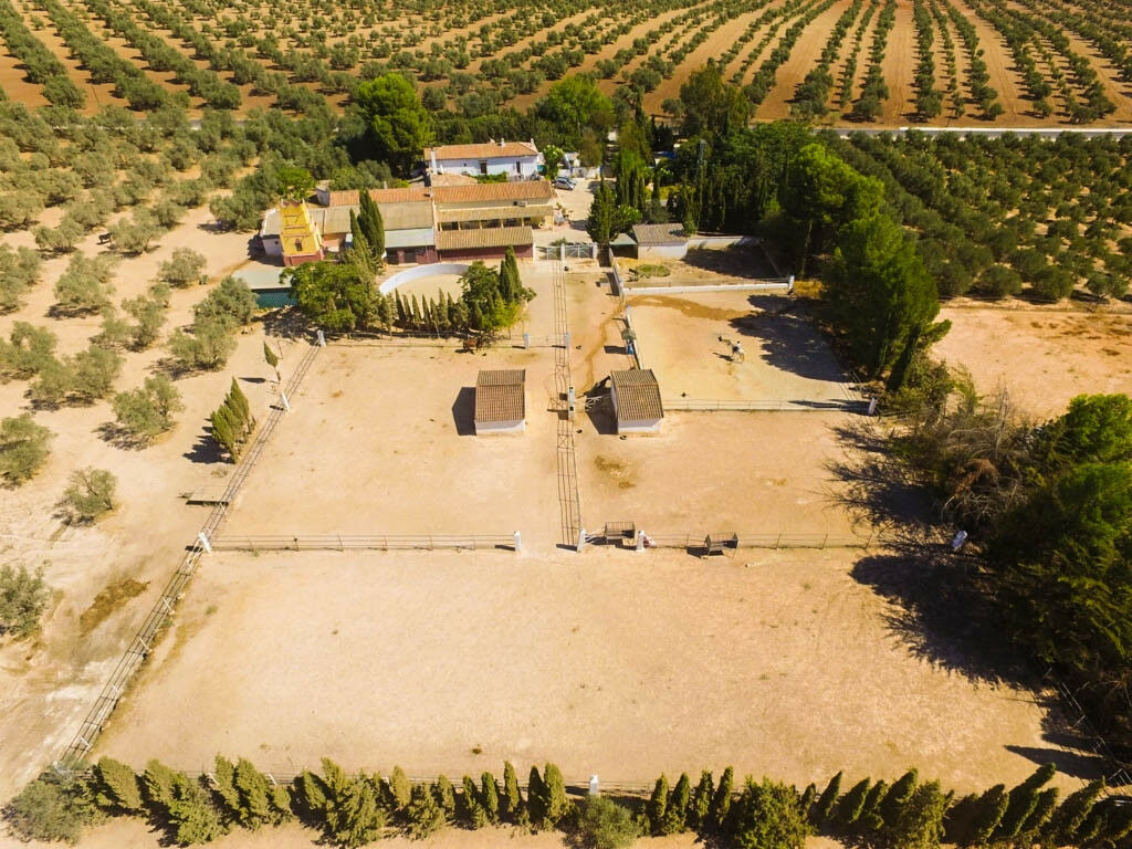 Finca - Cortijo Antequera Málaga - Bild 7