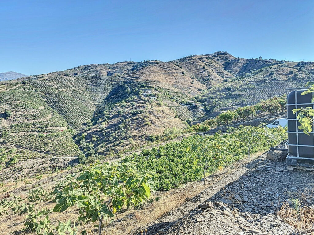 Finca - Cortijo Benamargosa Málaga - imagen 8