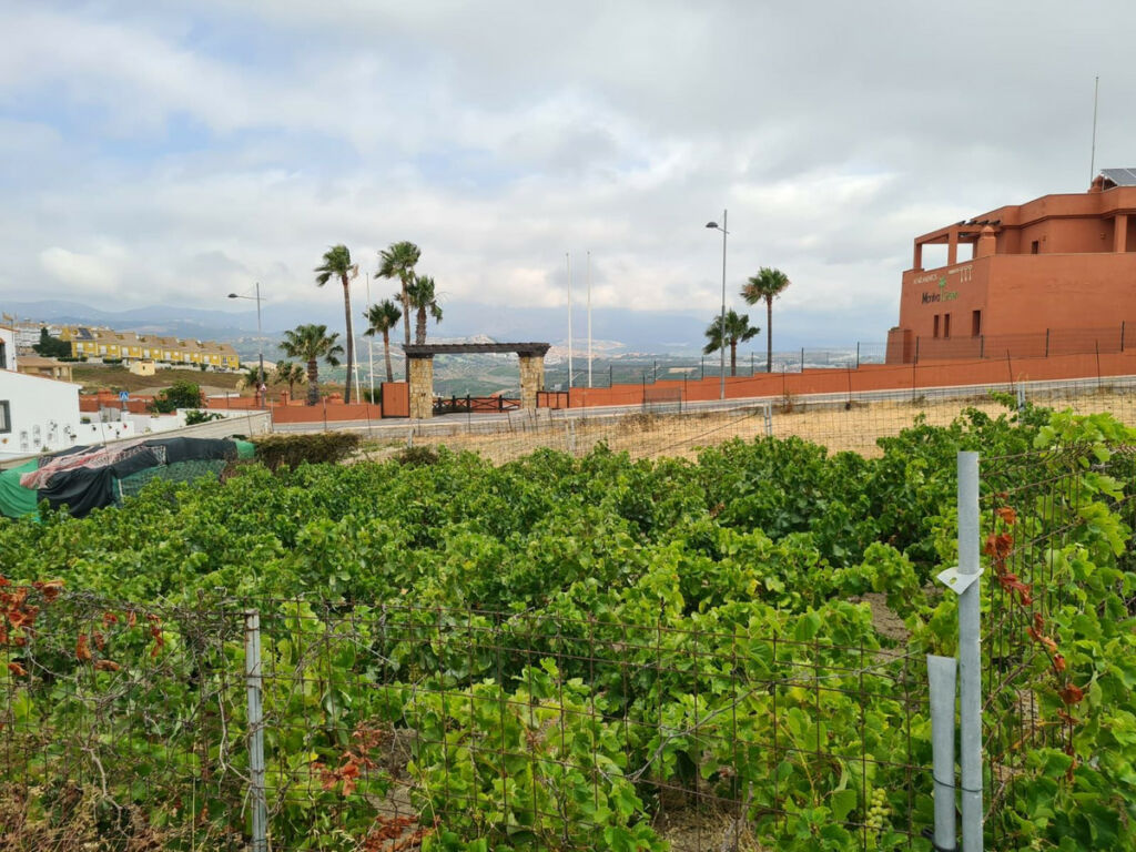 Residential Plot Manilva Málaga - Bild 7