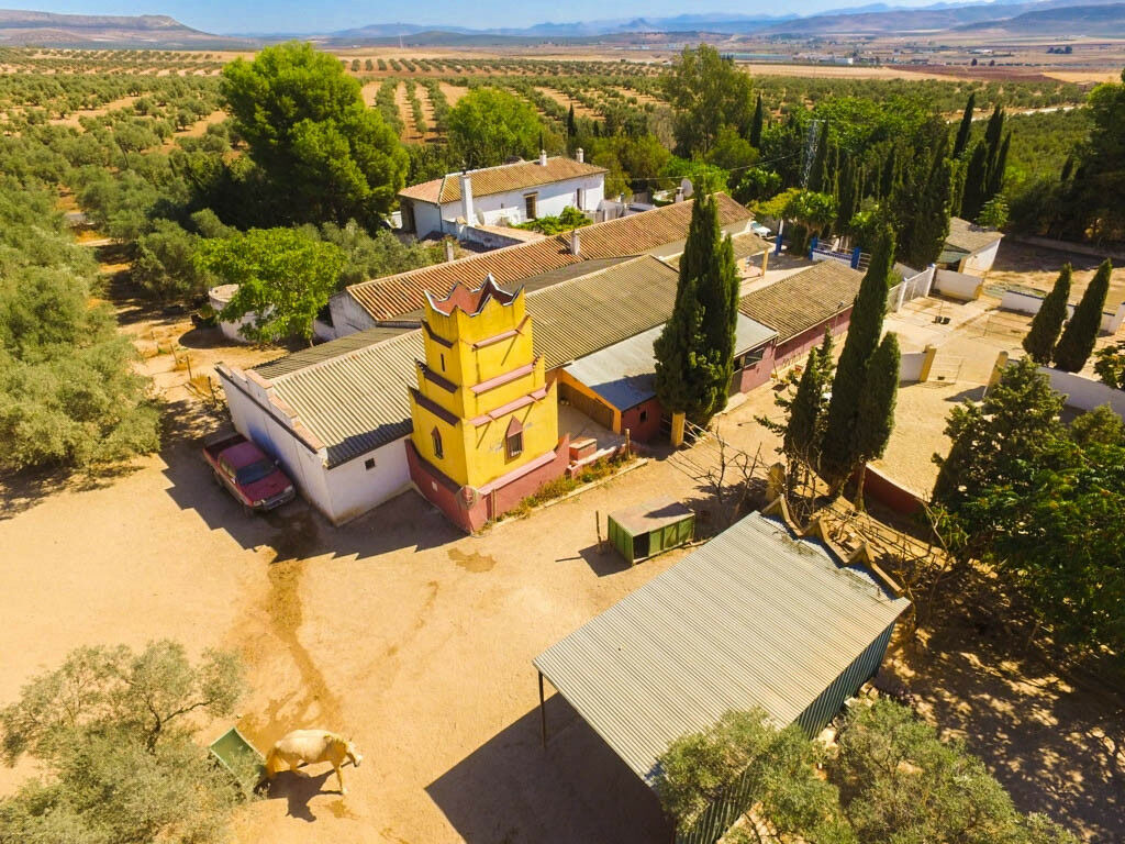 Finca - Cortijo Antequera Málaga - Bild 8