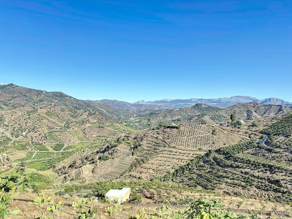 Finca - Cortijo Benamargosa Málaga - imagen 10