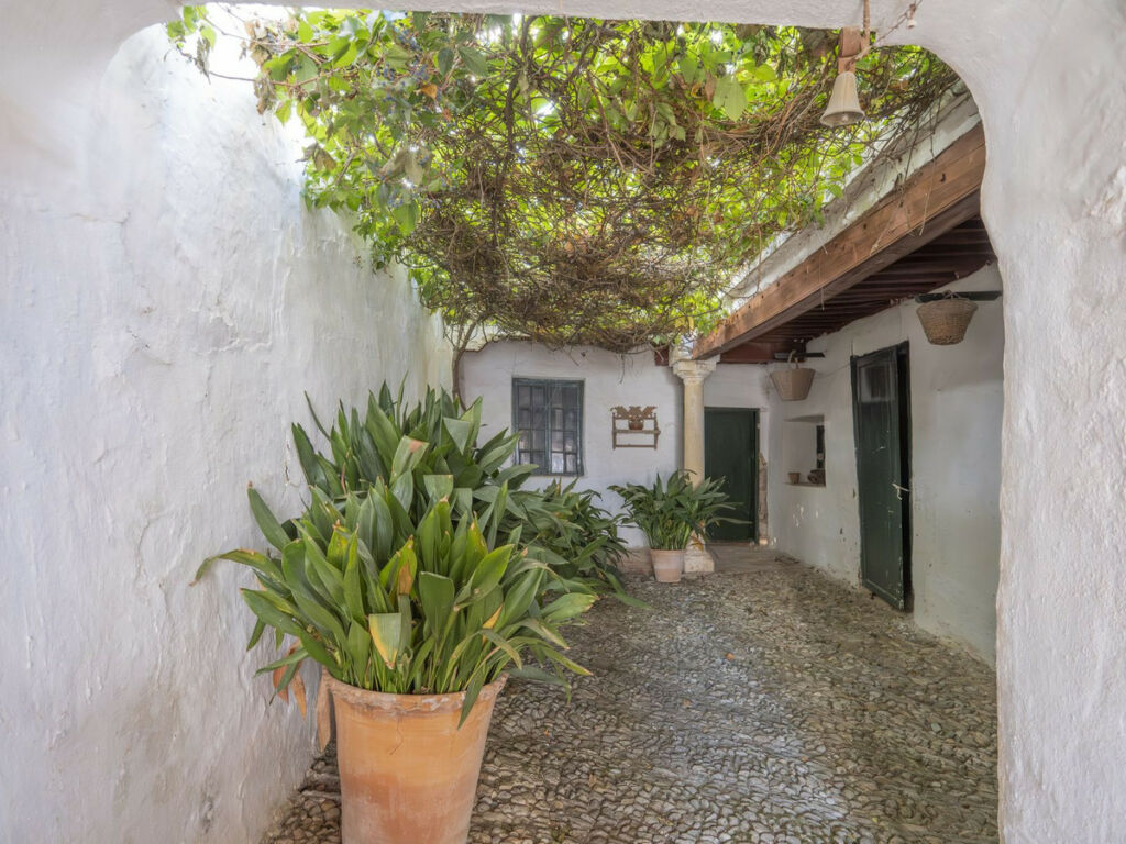Detached Villa Ronda Málaga - imagen 12