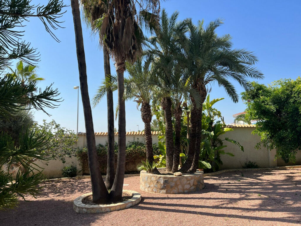 Bungalow Ciudad Quesada Alicante - Bild 2