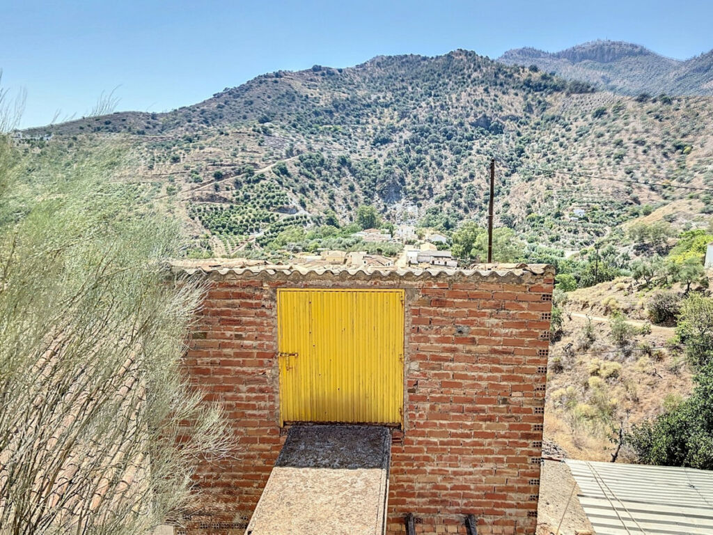 Finca - Cortijo Comares Málaga - imagen 21