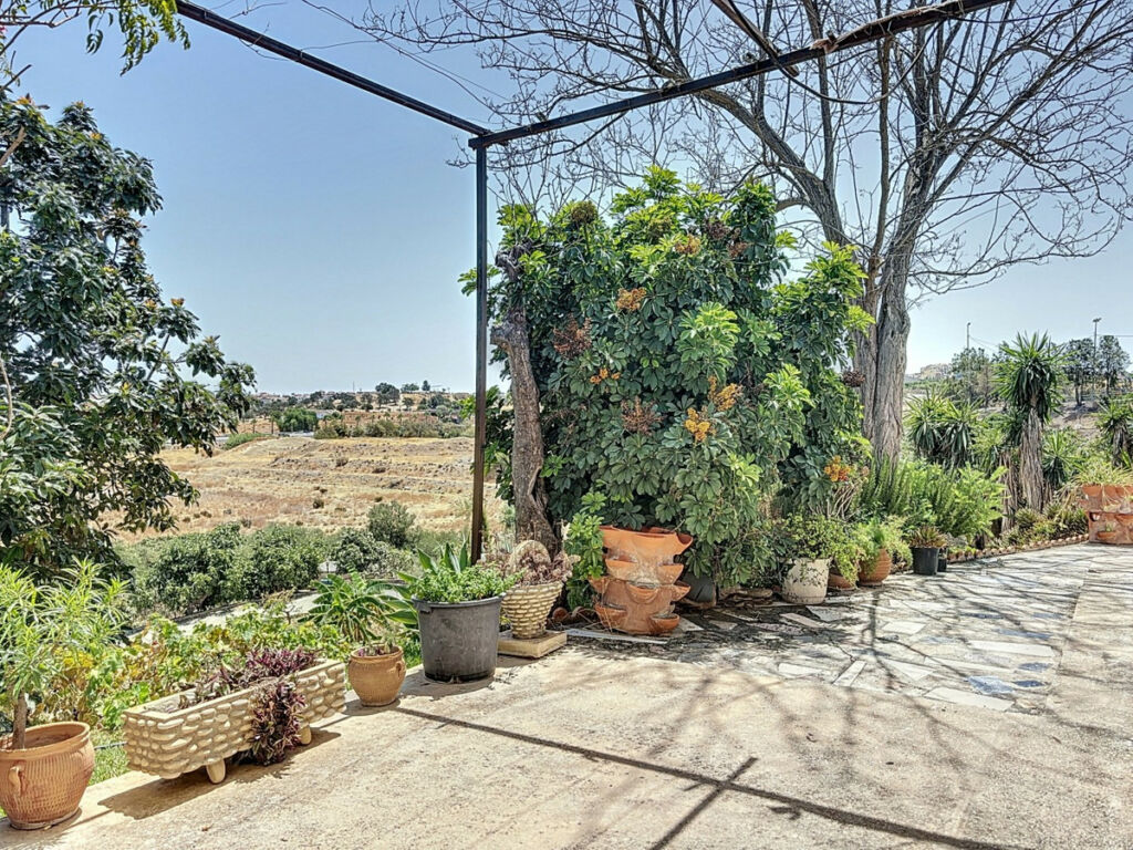 Finca - Cortijo Torre del Mar Málaga - Bild 23