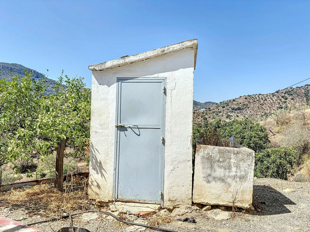 Finca - Cortijo Comares Málaga - imagen 26