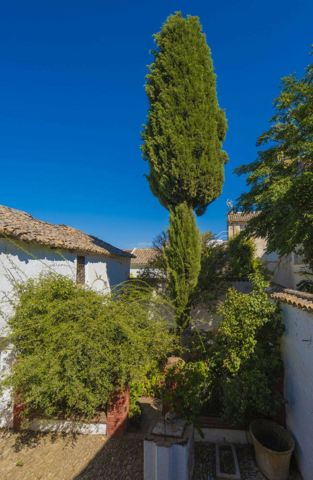 Detached Villa Ronda Málaga - imagen 27