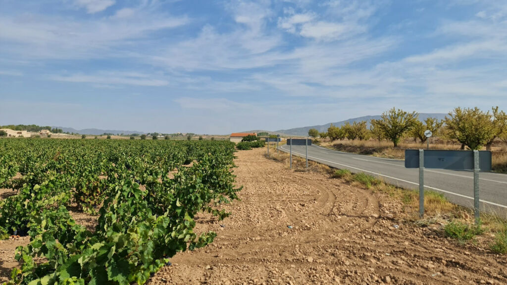 Land Pinoso Alicante - imagen 4