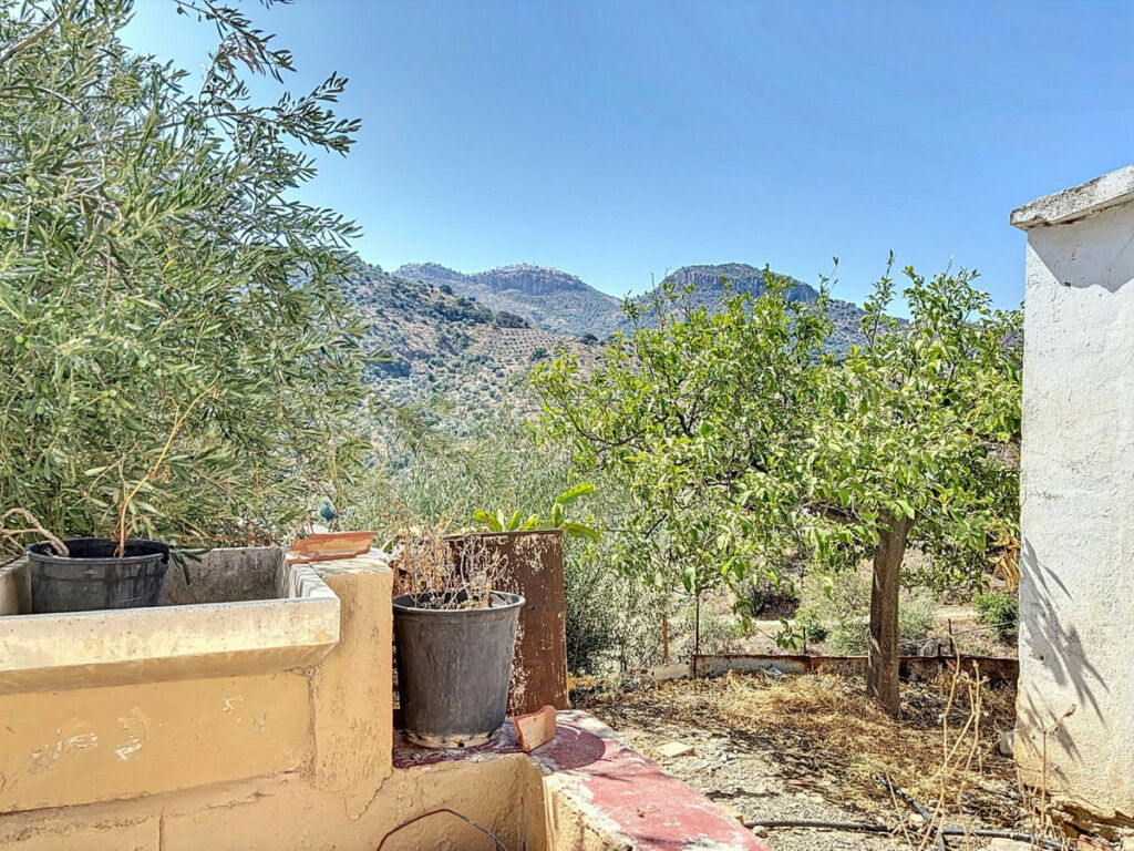 Finca - Cortijo Comares Málaga - imagen 4
