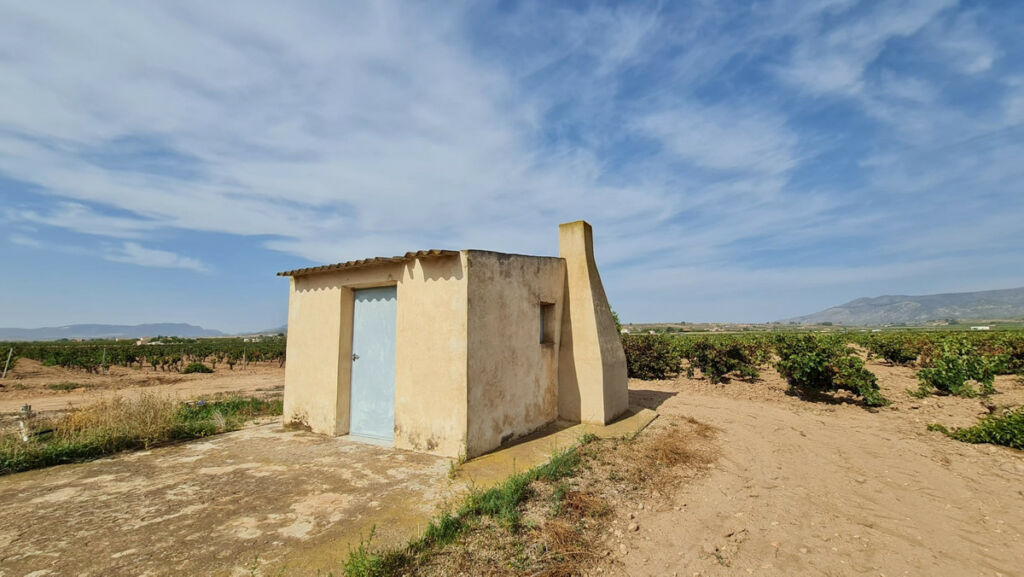 Land Pinoso Alicante - imagen 6