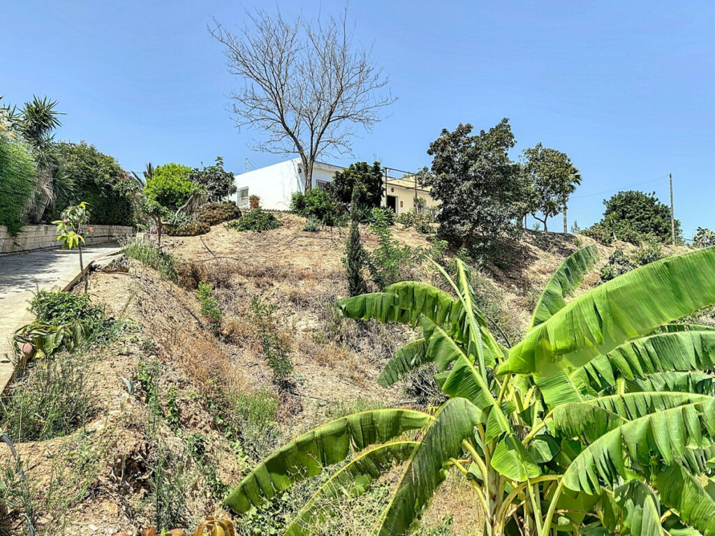 Finca - Cortijo Torre del Mar Málaga - Bild 7