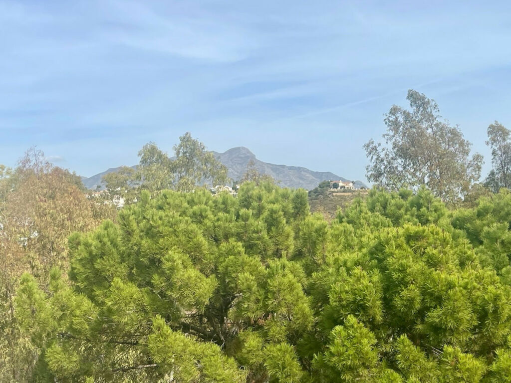 Penthouse Benahavís Málaga - zdjęcie 8