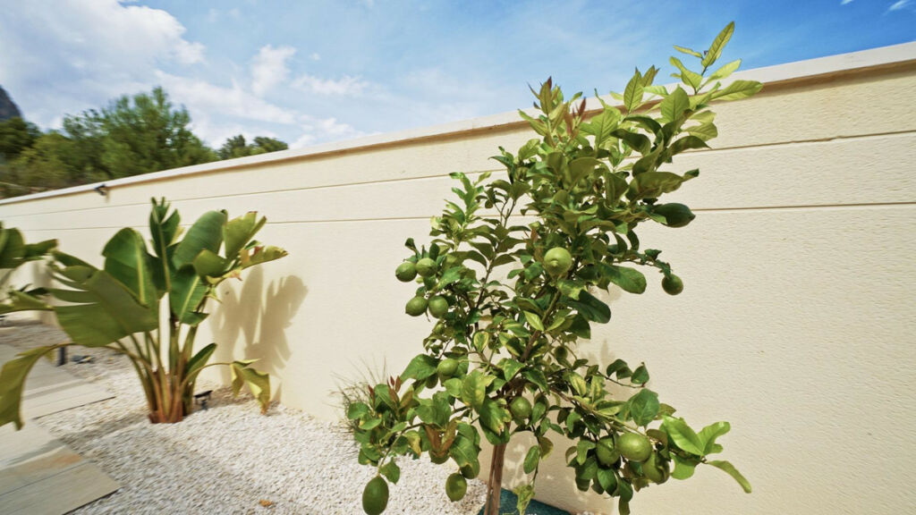 Bungalow Polop Alicante - Bild 9