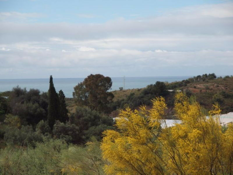 Detached Villa Almayate Málaga