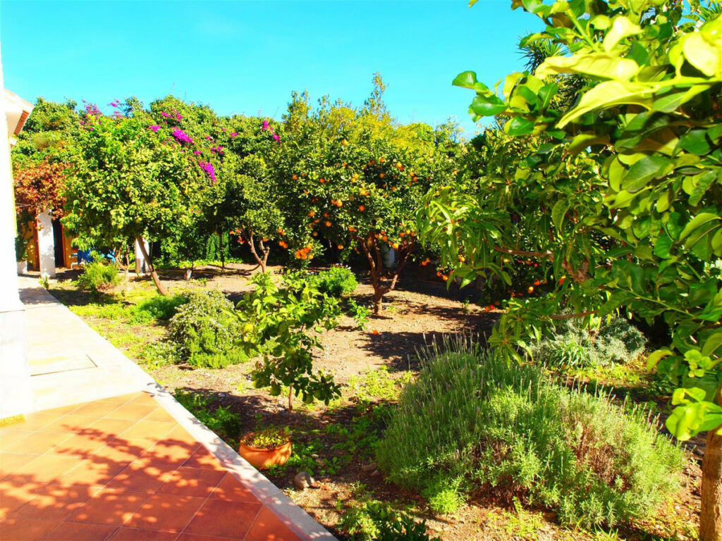 Finca - Cortijo Algarrobo Málaga - imagen 10