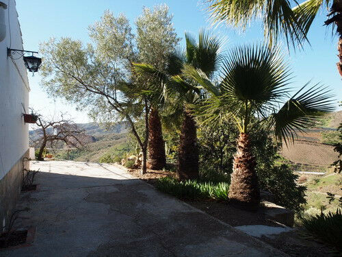 Finca - Cortijo Iznate Málaga - imagen 10