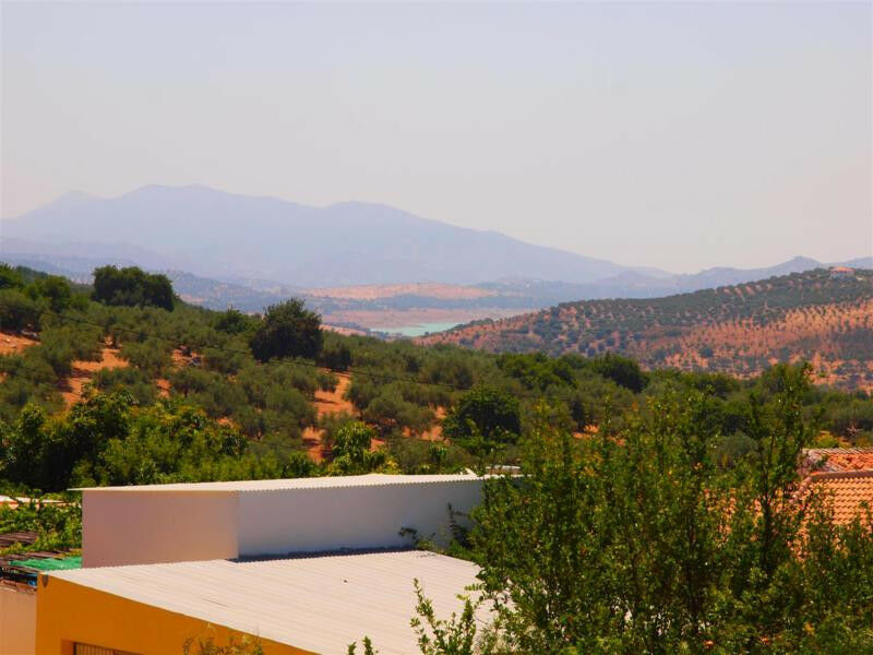 Finca - Cortijo Periana Málaga - imagen 10