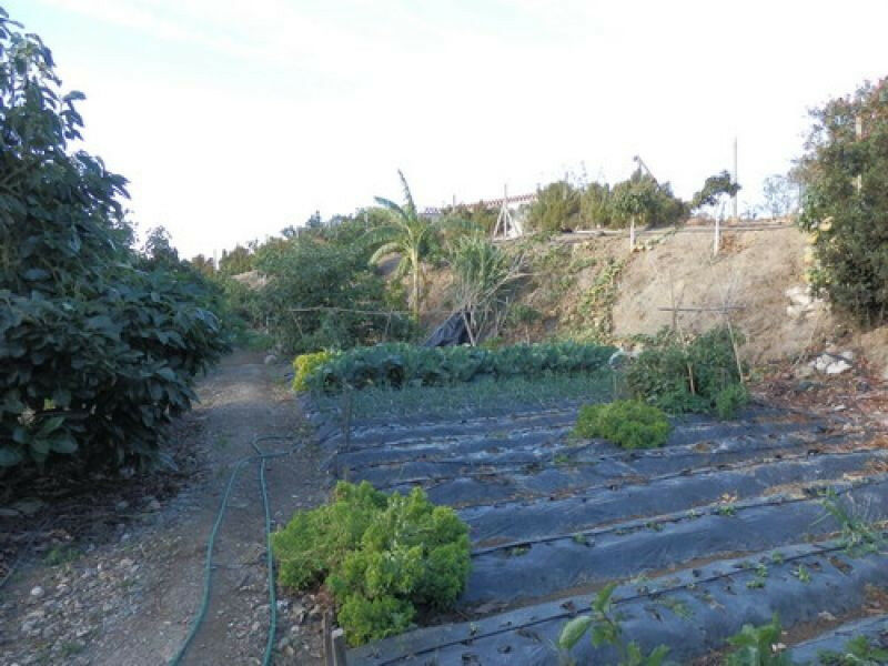Detached Villa Vélez-Málaga Málaga - imagen 10