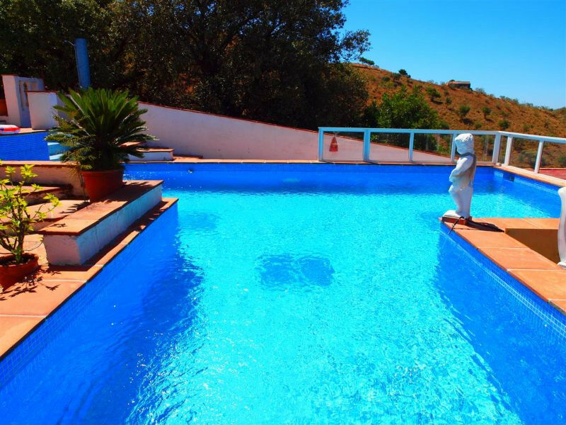 Finca - Cortijo Canillas de Aceituno Málaga - imagen 10