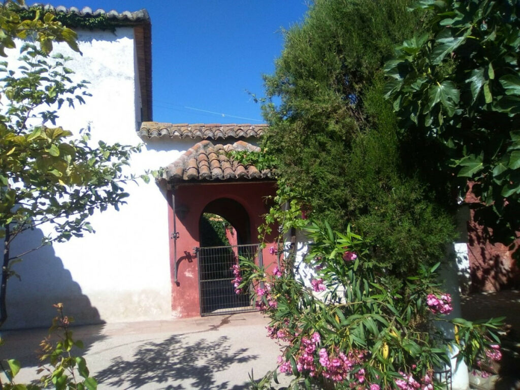 Finca - Cortijo Alcaucín Málaga - imagen 11