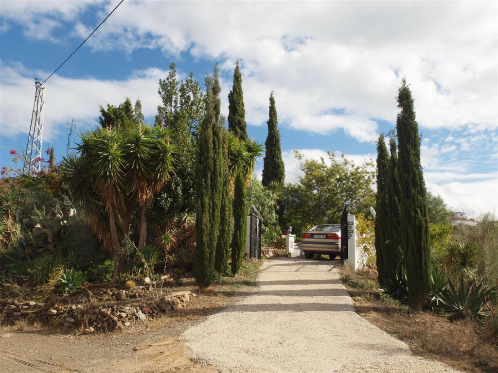 Finca - Cortijo Canillas de Aceituno Málaga - imagen 11