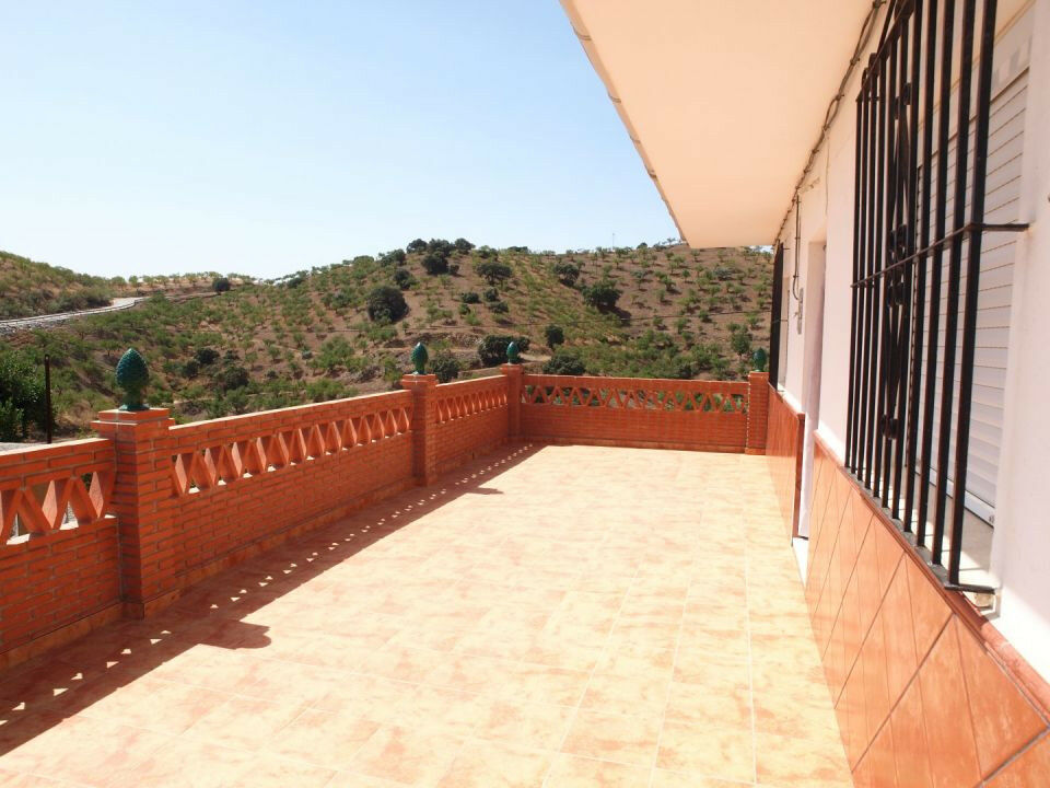 Finca - Cortijo La Viñuela Málaga - imagen 11