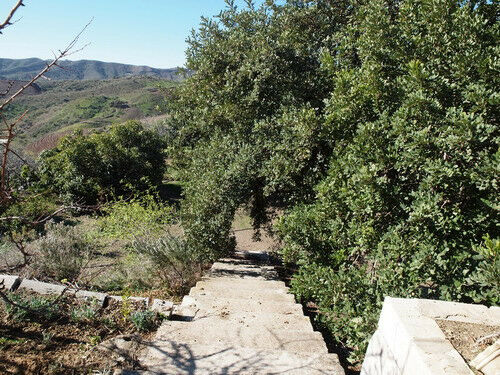 Finca - Cortijo Iznate Málaga - imagen 11
