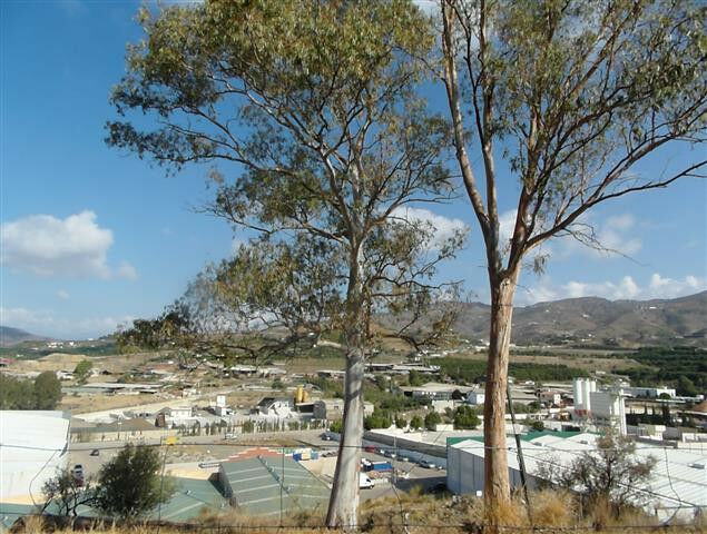 Finca - Cortijo Vélez-Málaga Málaga - imagen 11
