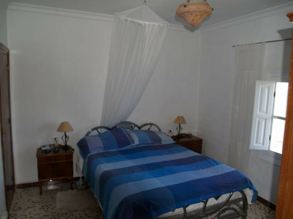 Finca - Cortijo Periana Málaga - imagen 12