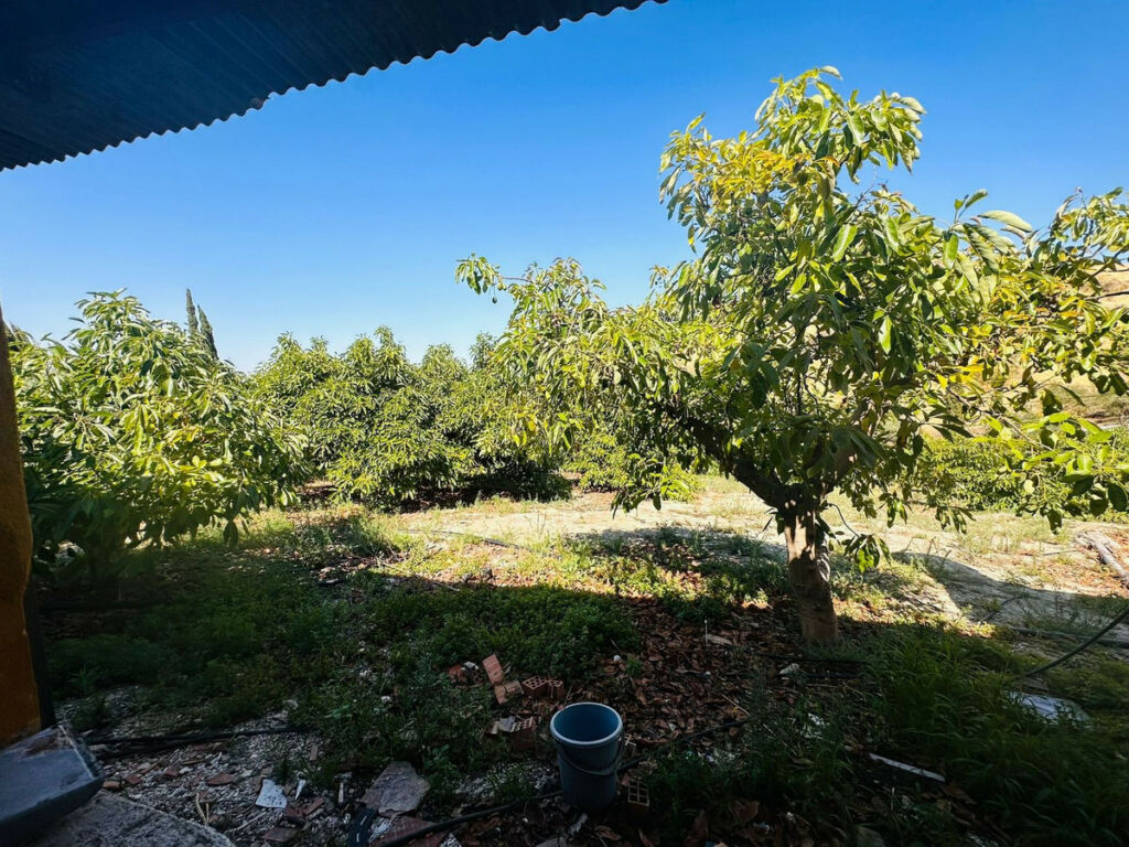 Finca - Cortijo Coín Málaga - imagen 12