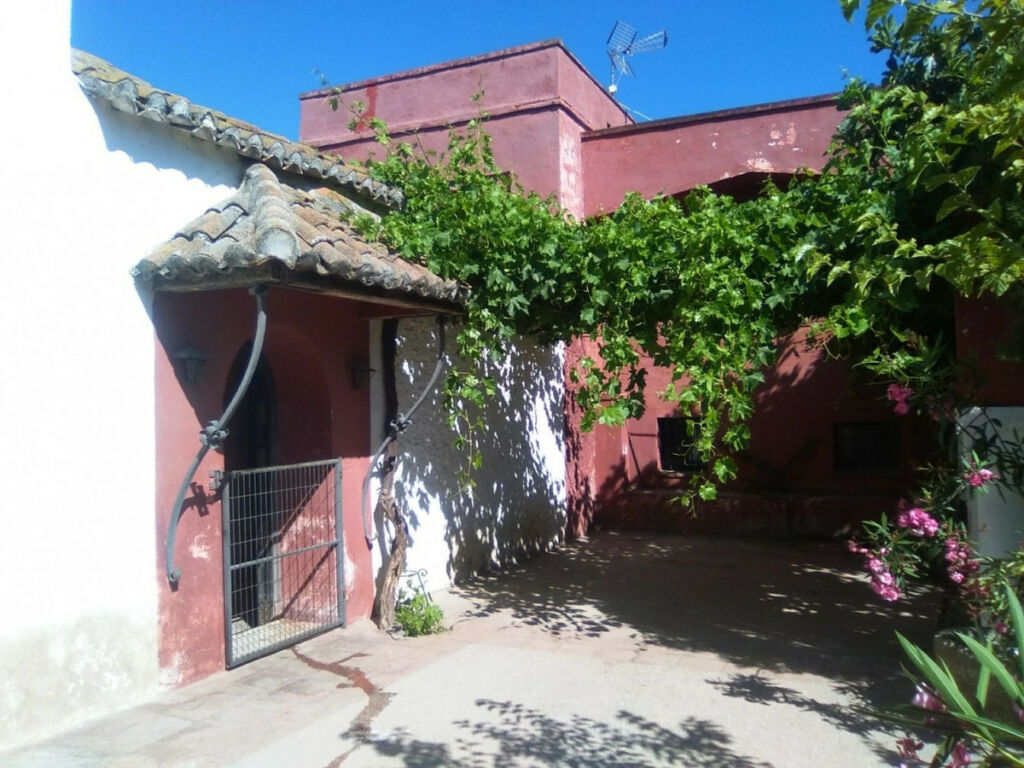 Finca - Cortijo Alcaucín Málaga - imagen 12