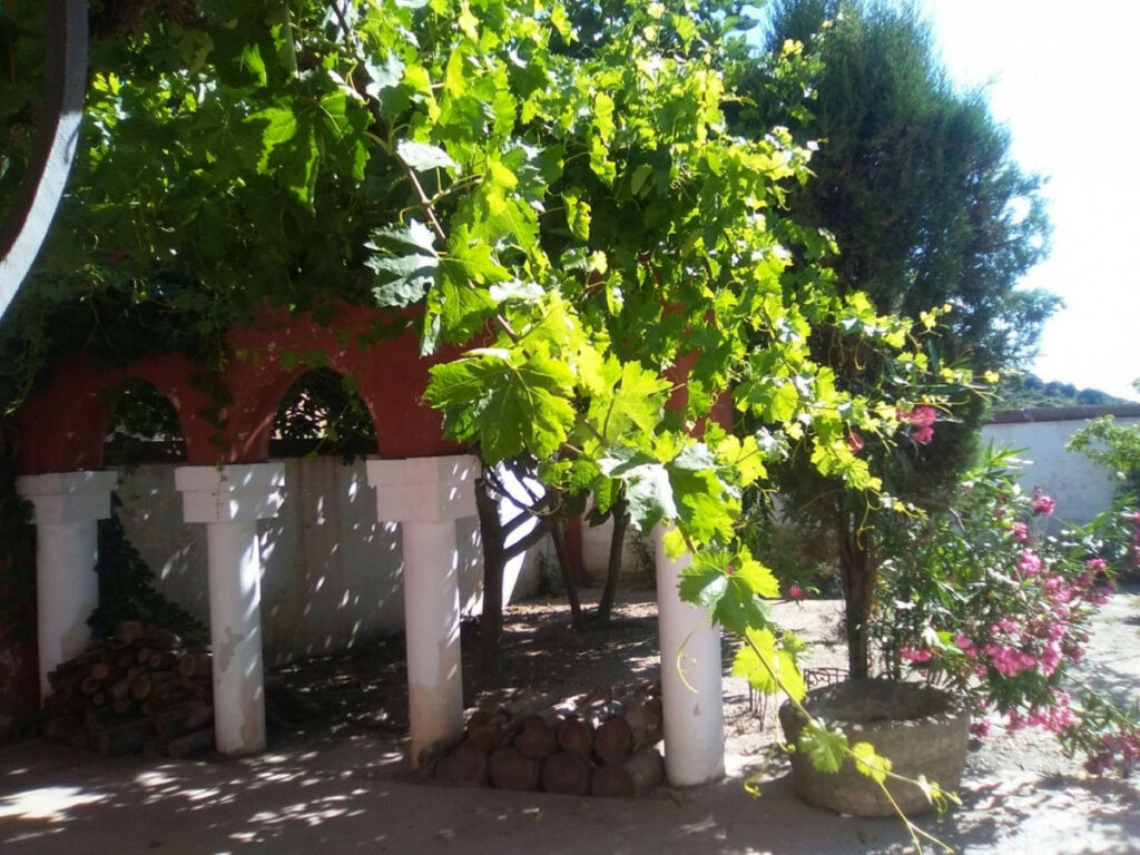 Finca - Cortijo Alcaucín Málaga - imagen 13