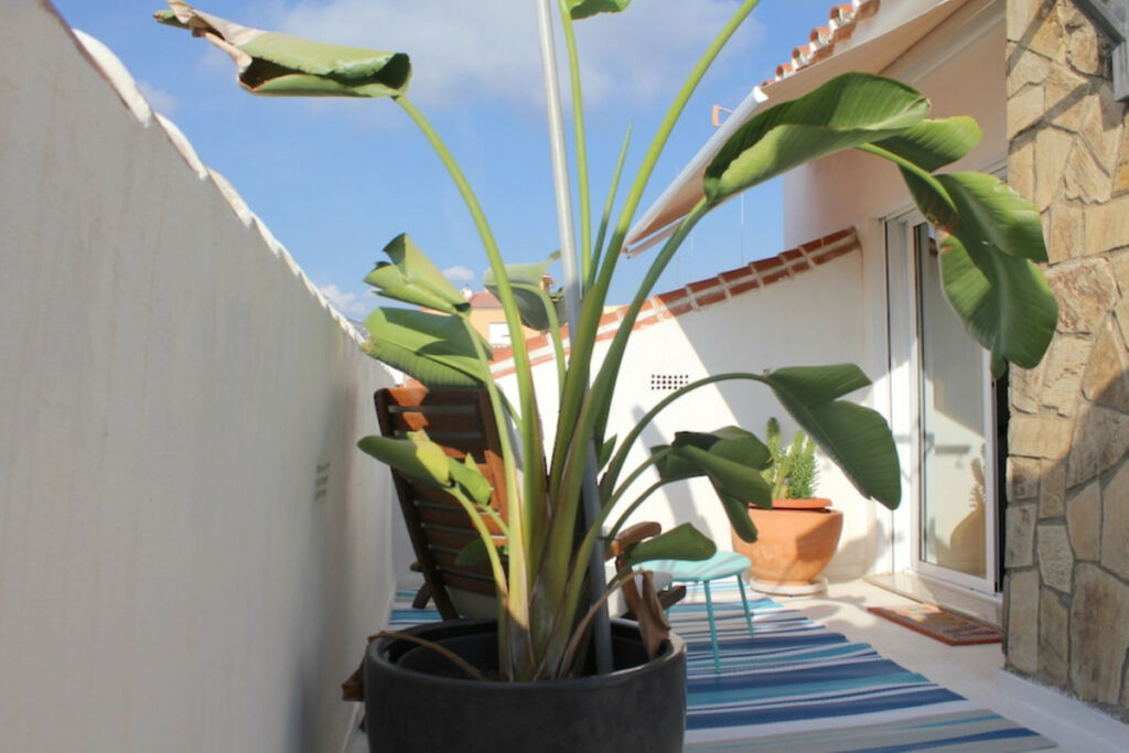Detached Villa Vélez-Málaga Málaga - imagen 13