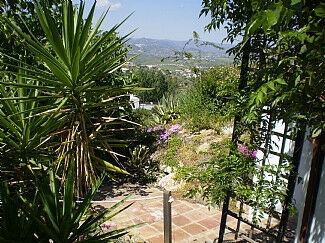 Finca - Cortijo Alcaucín Málaga - imagen 13