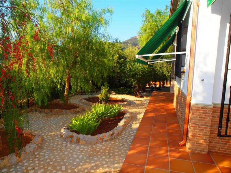 Finca - Cortijo Alcaucín Málaga - imagen 13