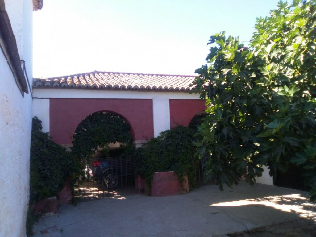 Finca - Cortijo Alcaucín Málaga - imagen 14