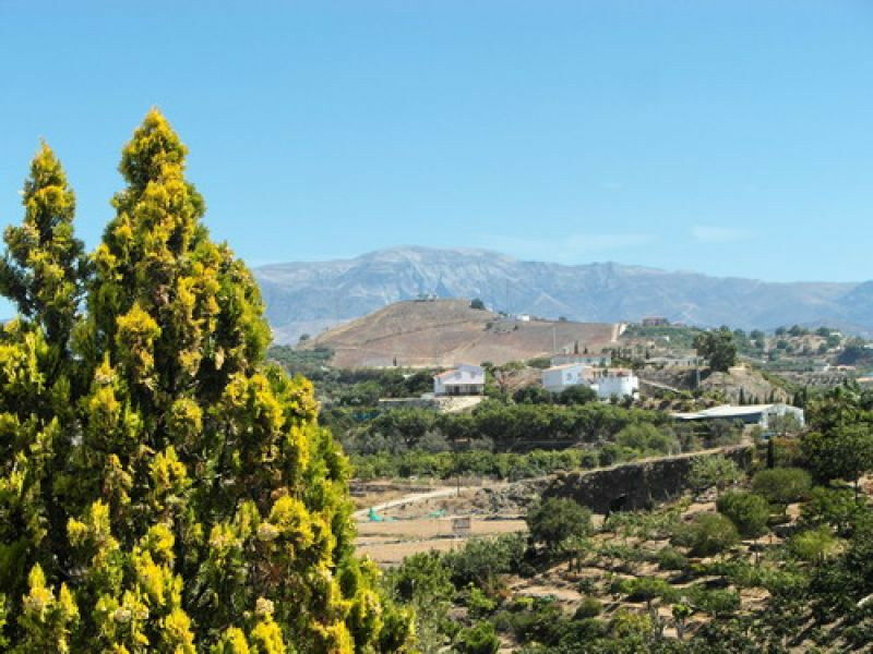 Detached Villa Almayate Málaga - imagen 14