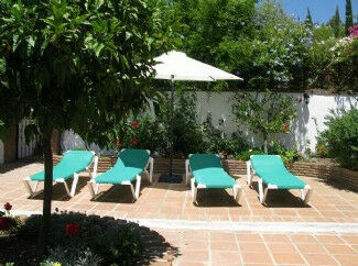 Finca - Cortijo Alcaucín Málaga - imagen 14