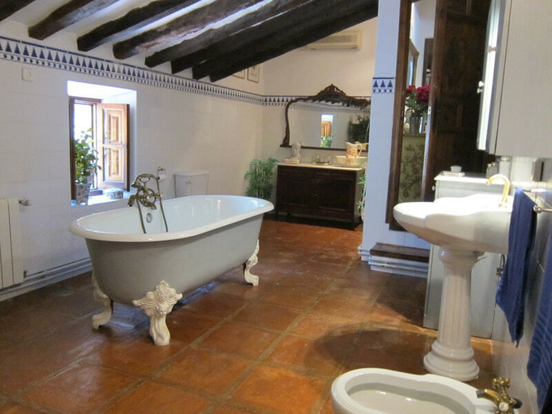Finca - Cortijo Cómpeta Málaga - imagen 13