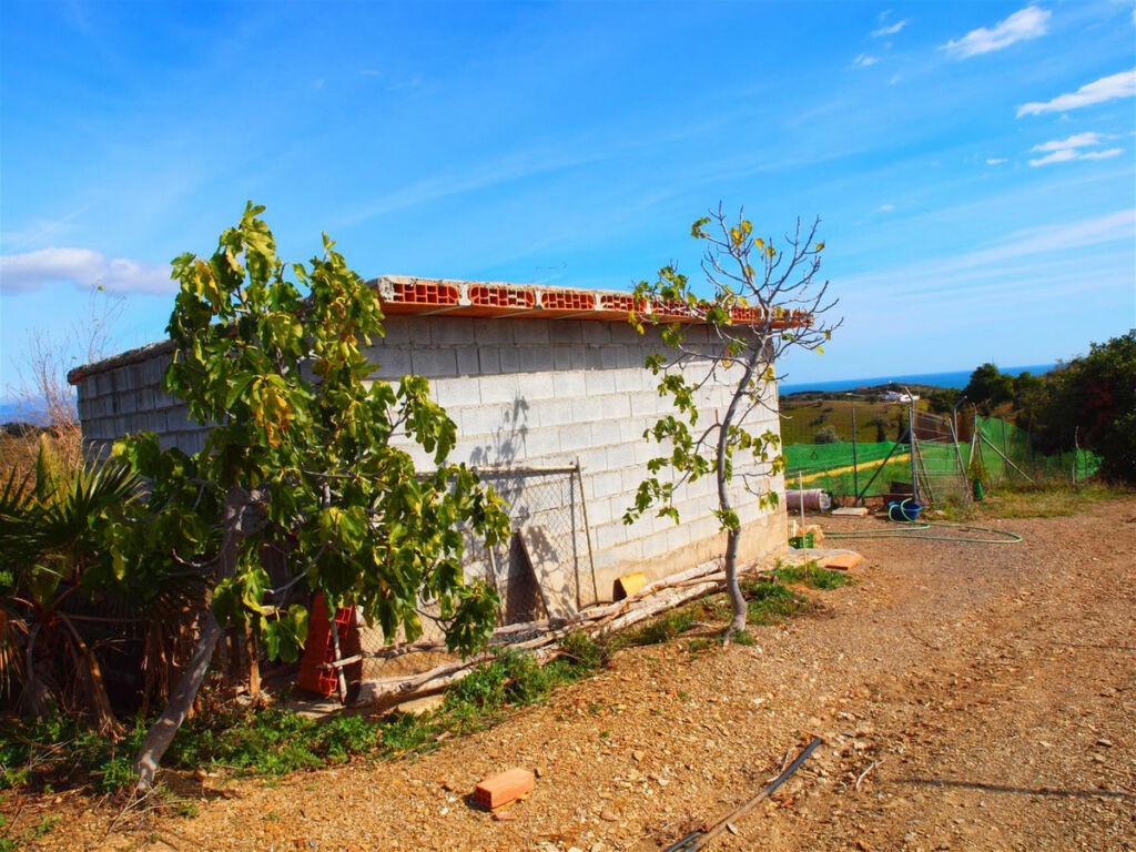 Finca - Cortijo Benajarafe Málaga - Bild 14