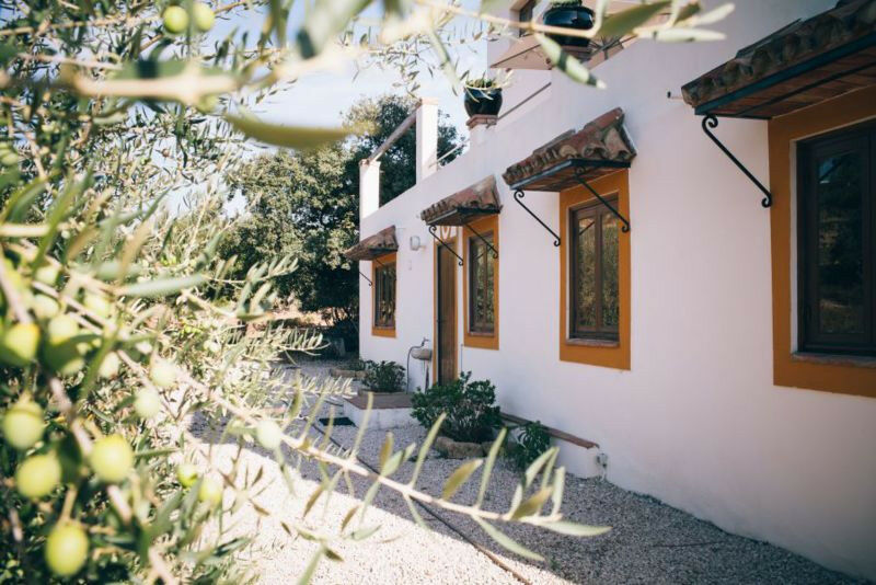 Detached Villa Riogordo Málaga - imagen 15